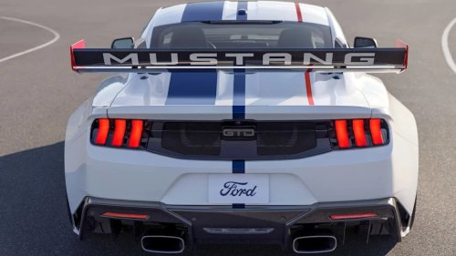 Europe Gets Another Shot at America’s Wildest Mustang