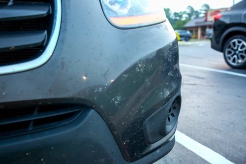 Road Trips Create Memories — and Insect Guts. So We Tested the Best Bug, Tar, and Sap Removers