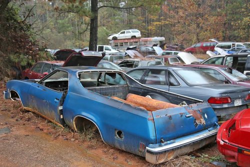 Some Interesting Junkyard Finds at Collins Auto Salvage in Auburn, Georgia