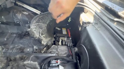 Man Buys Fire-Damaged Corvette For $30,000... Turns Out It Might Be A Bargain!