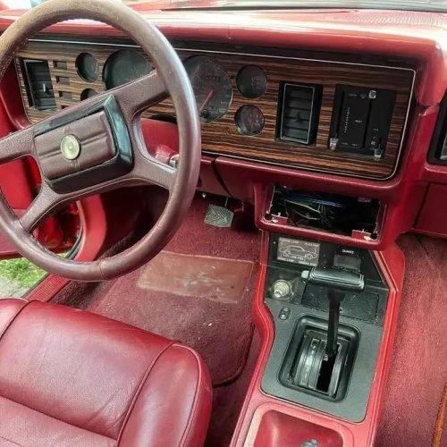 1982 Ford Mustang Notchback For Sale