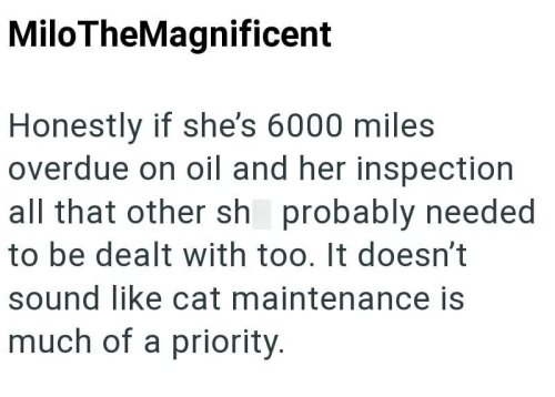Mechanic charges woman $3400 for an oil change that should've only cost $120: 'They required windshield wipers and parking lights be replaced.'