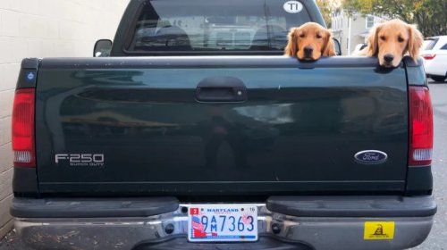 Five Professions That Bafflingly Get Their Own License Plates