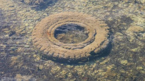 Why 2 Million Tires Ended Up On The Ocean Floor Near Florida In The '70s
