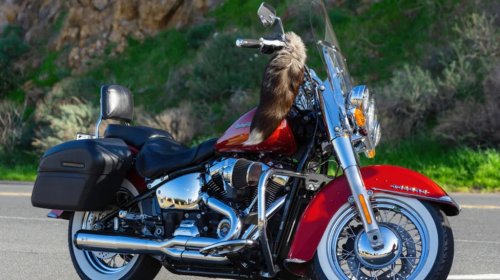 4 Downsides Of Cruiser Motorcycles You Should Consider Before Buying