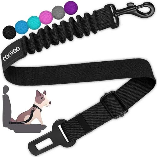 10 Car Essentials Every Dog Owner Needs