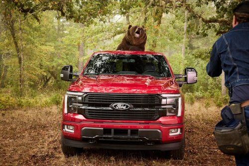 An 800-Pound Kodiak Bear Tested Ford F-150's Security Package By Shaking the Truck and Breaking In