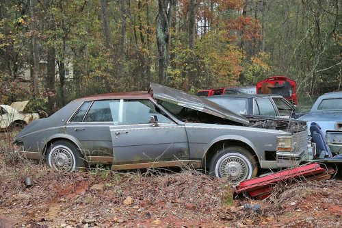 Some Interesting Junkyard Finds at Collins Auto Salvage in Auburn, Georgia
