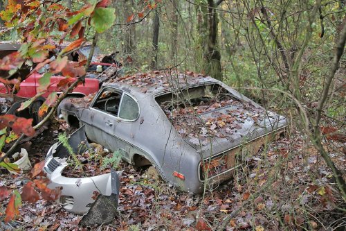 Some Interesting Junkyard Finds at Collins Auto Salvage in Auburn, Georgia