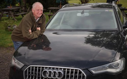 How to prevent bird poo and other tree nuisances from damaging your car