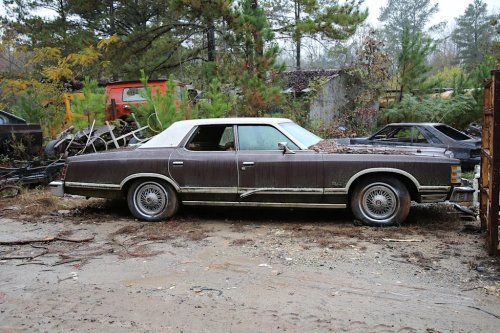 Some Interesting Junkyard Finds at Collins Auto Salvage in Auburn, Georgia