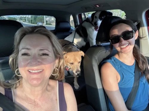 Which are the Best Cars For Dogs? These are Our Favorites—and Top Accessories—For Taking Your Fur Baby Along