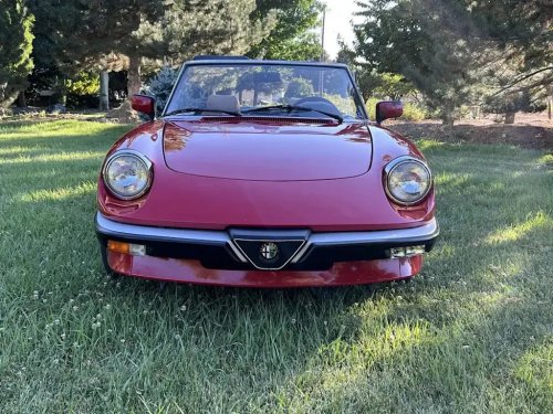 Alfa Romeo, 1990 Alfa Romeo Spider Graduate For Sale