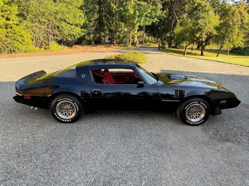 1979 Pontiac Firebird Trans Am WS6 for Sale With 8,000 Miles Shown