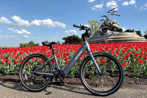 Riding this comfortable e-bike won’t drain your energy or your wallet