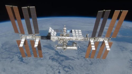 In Space, Your Own Stem Cells Can't Sleep And Then Become Zombies