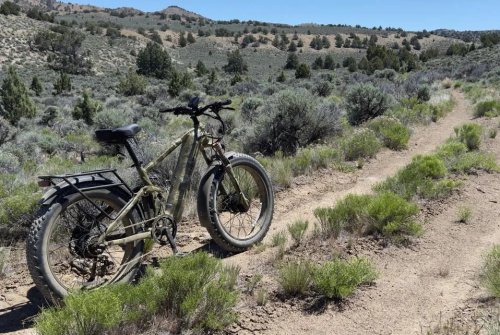 Good Dogs! Puckipuppy’s Labrador And GoldenR Pro E-bikes Love To Play