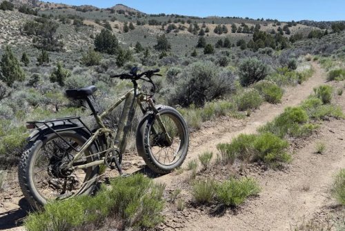 Good Dogs! Puckipuppy’s Labrador And GoldenR Pro E-bikes Love To Play