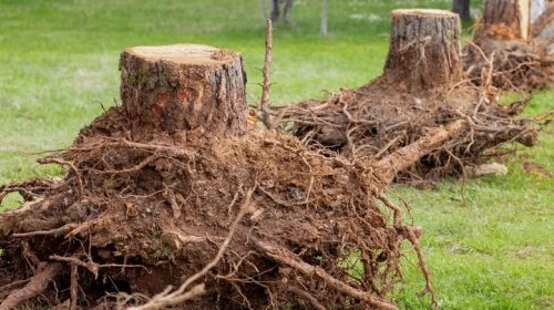 5 Useful Ways To Use A Backhoe That Have Nothing To Do With Digging