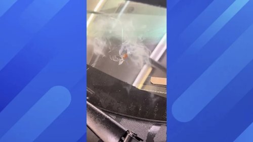 Car Mechanic Can't Figure Out Why Customer's Windshield Was Smoking