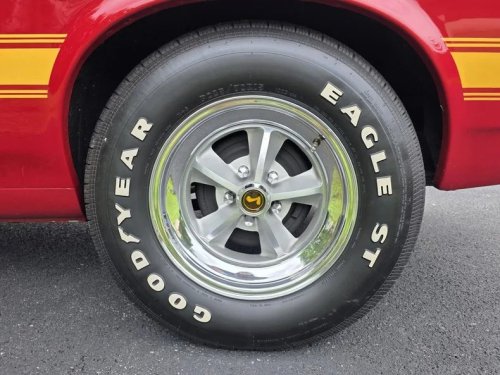 Ford, Ford Mustang, Numbers-Matching 1969 Ford Mustang Shelby GT350 Heads to the Block at Carlisle Auctions