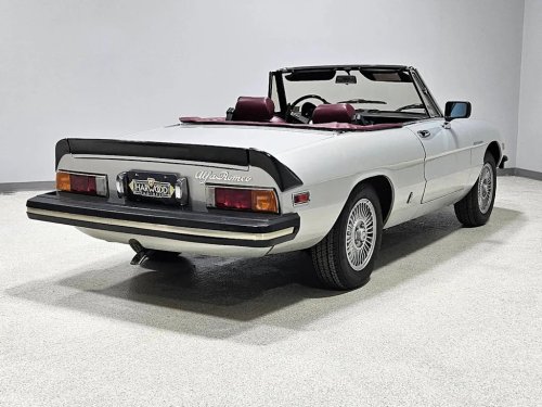 1981 Alfa Romeo 2000 Spider Veloce for Sale With 10,000 Miles