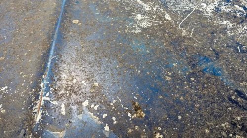 Junkyard Find: 1989 Chevrolet S-10 Blazer 4x4 With 300K Miles