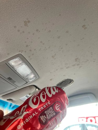 A Coke Blew Up In My Car. We Used Our Favorite Upholstery Cleaner to Fix It