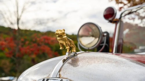 These Are Your Favorite Hood Ornaments