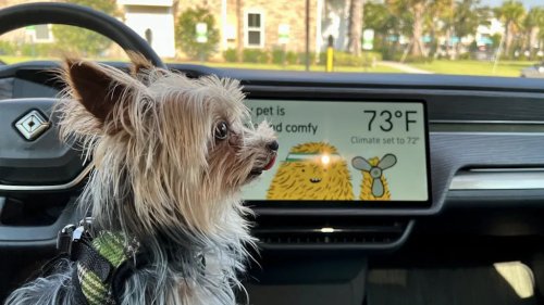 Rivian, Rivian R2 Is Getting a Pet Cam — and It Won’t Allow You to Spy on a Human