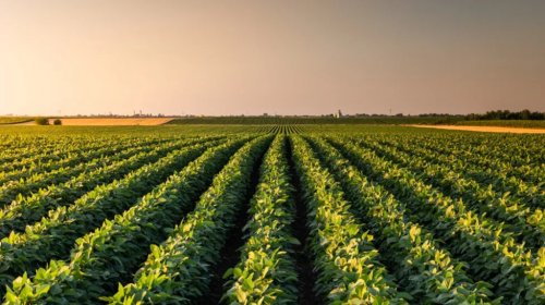 The Owner Of Marathon Gas Stations Is Making Diesel From Soybeans