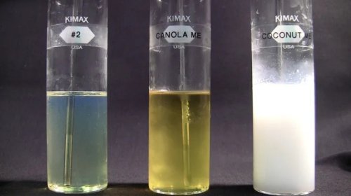 6 Disadvantages Of Biodiesel You Should Know Before Switching Fuel Types