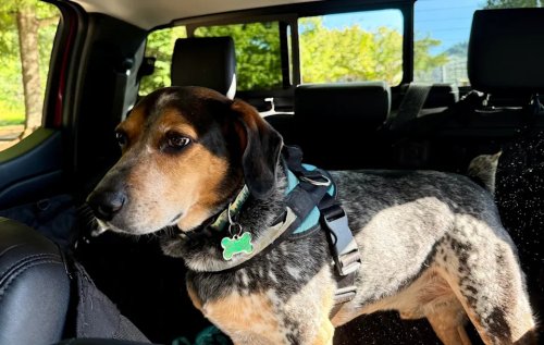 Ford, Ford Ranger, I Love My Vintage Ford Ranger Pickup Truck. Would The 2026 Model Prove Just as Charming?