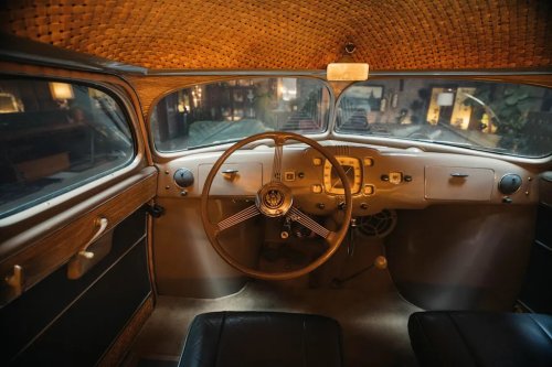 See More Photos of the Stout Scarab