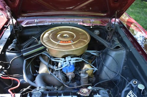1965 Ford T5 (German Mustang) for Sale With 41k Miles Shown