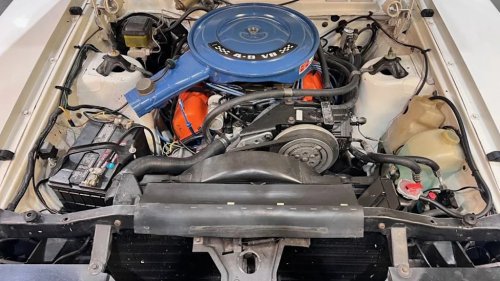 Ford, Ford Falcon Cobra Was Australia’s Bold Answer To Fading American Muscle