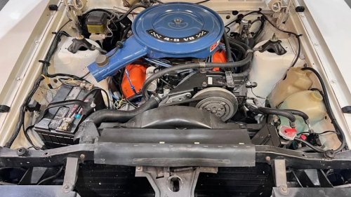 Ford Falcon Cobra Was Australia’s Bold Answer To Fading American Muscle