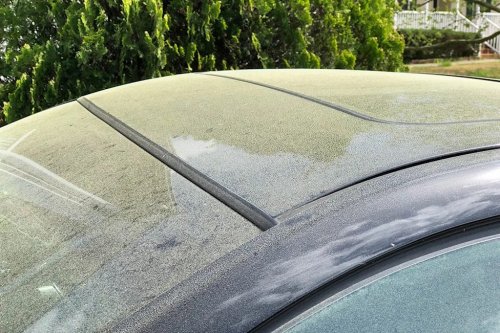 Is Your Car Allergic to Pollen, Too? How to Deal With Pollen On and In Your Car