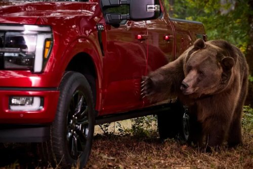 Ford, Ford F-150, Kodiak Bear Weighing Over 360 Kg Puts Ford F-150’s Security Package to the Test
