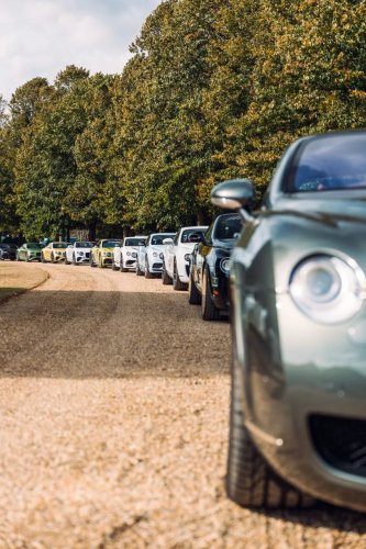 Gallery: Concours of Elegance Hampton Court Palace London