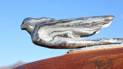Here's Why Hood Ornaments Have Nearly Disappeared