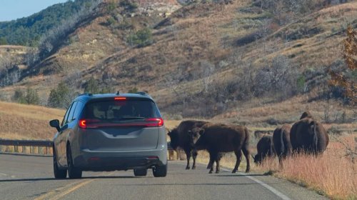 The 5 Worst States For Drivers Underreporting Mileage On Car Insurance Applications