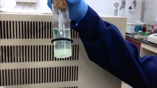 6 Disadvantages Of Biodiesel You Should Know Before Switching Fuel Types