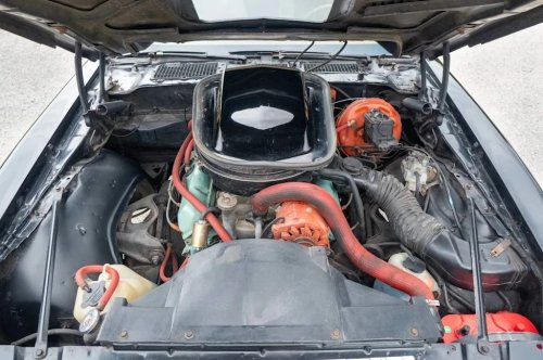 1979 Pontiac Firebird Trans Am Special Edition for Sale With 54,000 Miles