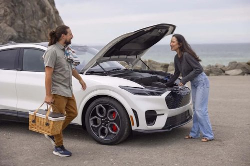 Americans Hate High Gas Prices-But They Hate Electric Cars Even More