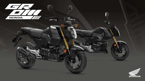 Honda, Honda MSX125 Grom Gets A Trio of New Colors, Is Still Not A Yamaha