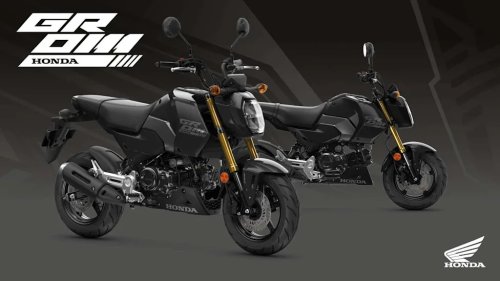 Honda, Honda MSX125 Grom Gets A Trio of New Colors, Is Still Not A Yamaha