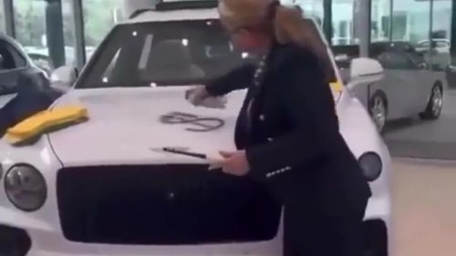 Bentley, Lady at the Dealership Spray-Painted a Dollar Sign on a Bentley. Then She Set It on Fire. There's a Method to the Madness