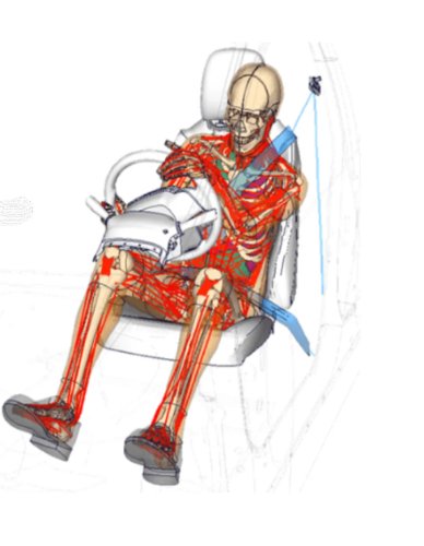 New Tests Using Virtual Dummies Aimed At Saving Real Pedestrians