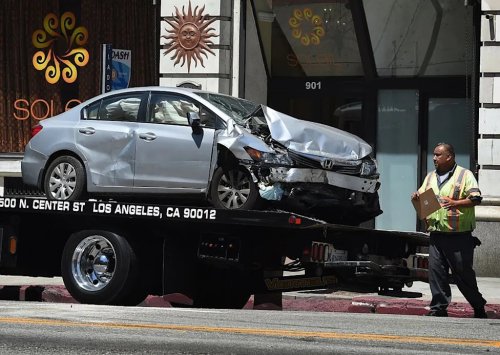 Drivers filed 1.7 million animal-collision insurance claims from 2024 to 2025